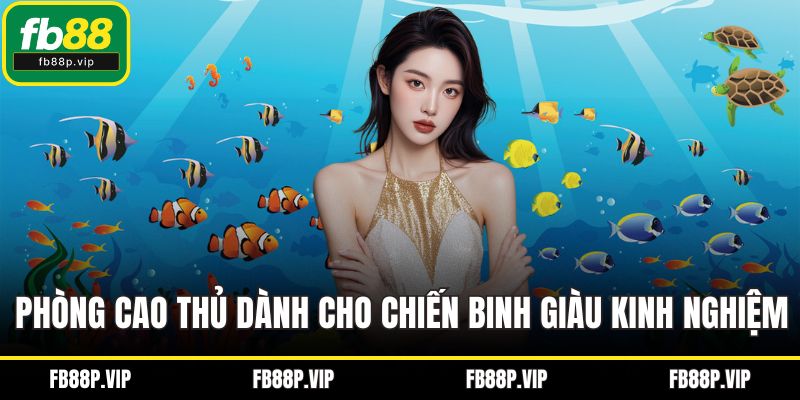 Phòng cao thủ dành cho chiến binh giàu kinh nghiệm