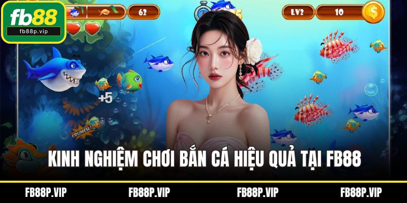 Kinh nghiệm chơi bắn cá