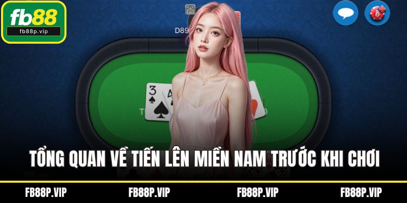 Tổng quan về tiến lên miền Nam trước khi chơi